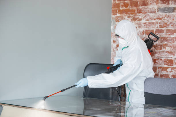 Best Environmental Consulting for Mold Prevention  in Hamilton, MO