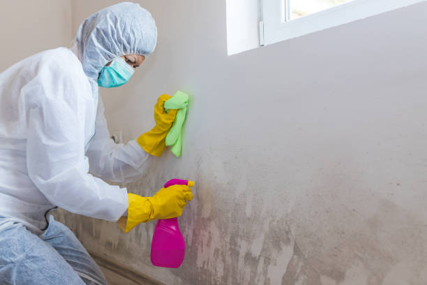 Best Biohazard Mold Removal  in Hamilton, MO