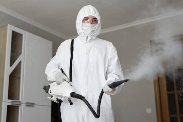 Best Mold Remediation for Healthcare Facilities  in Hamilton, MO